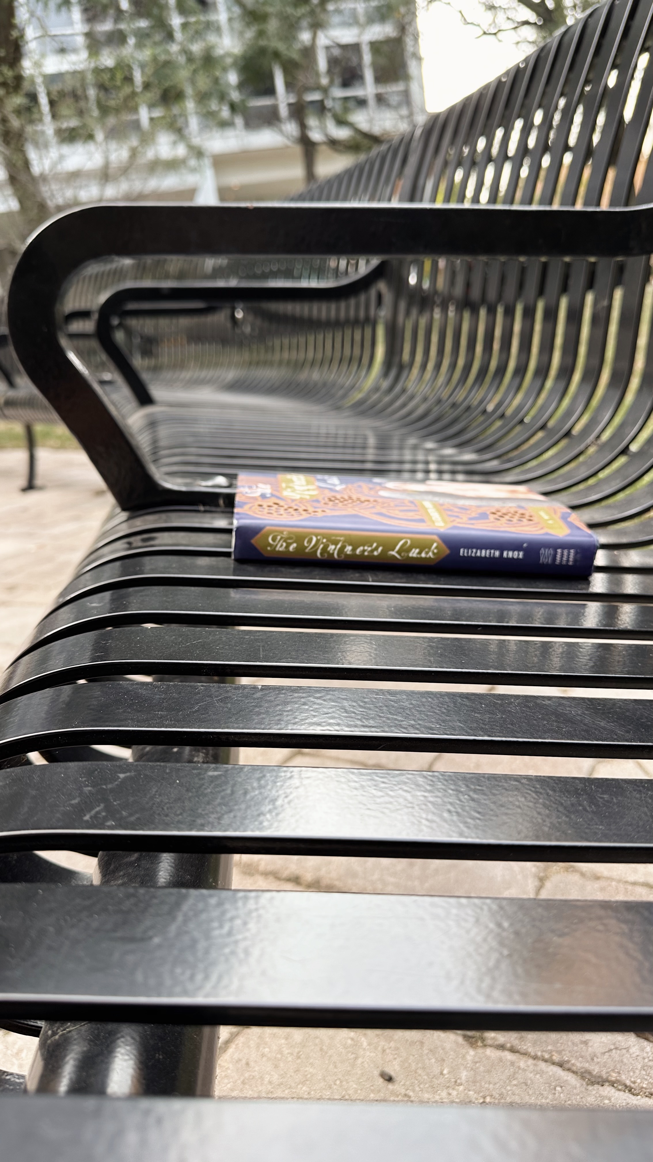 A book on a bench in a park. Autumn equinox rituals can be as simple as reading on the park!